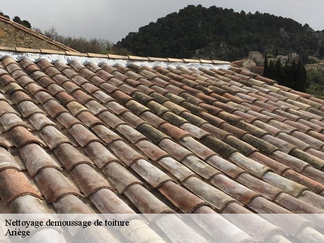 Nettoyage demoussage de toiture Ariège 