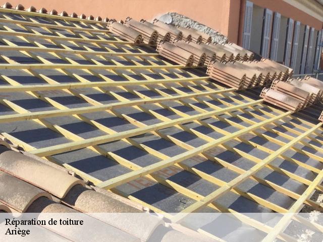 Réparation de toiture Ariège 